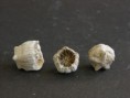 /album/kepgaleria-fenykepgaleria/dscn6060-korall-egger-jpg/